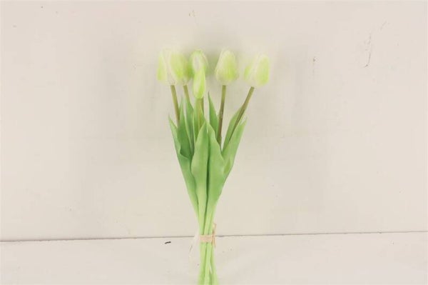 Bosje tulpen dicht