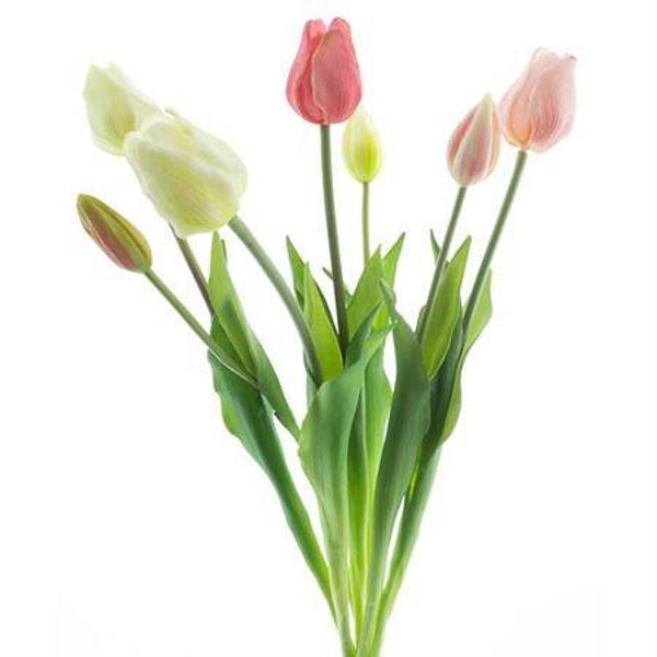 Classic tulp bundel roze/creme