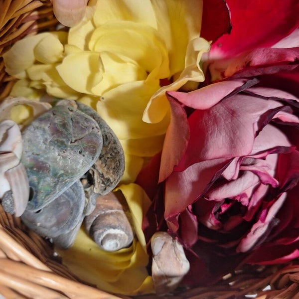 Transformative Soul guided readings