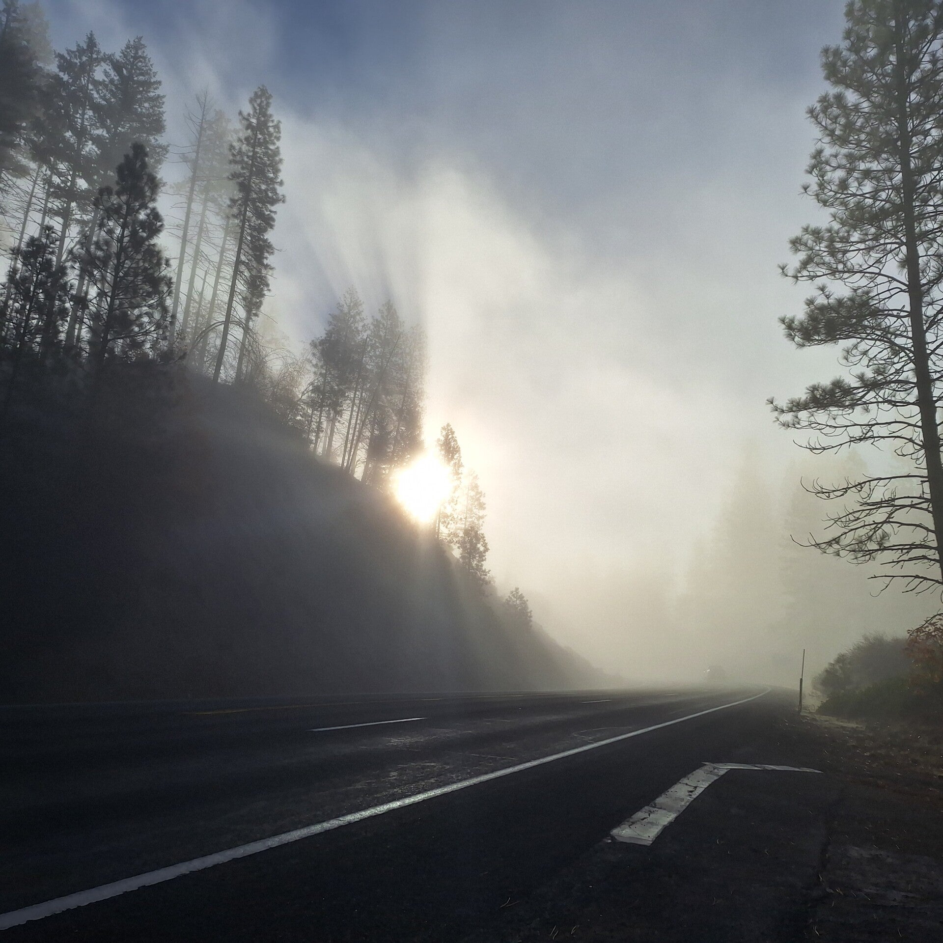 Divine soul Guided seasonal nature Inspired custom intuitive guidedmeditation