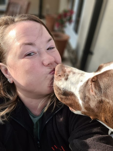 Lavender dog best sale grooming