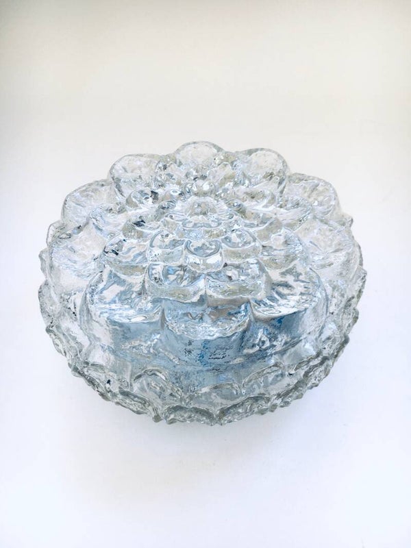 1960's Flower Glass Sconce Wall Lamp