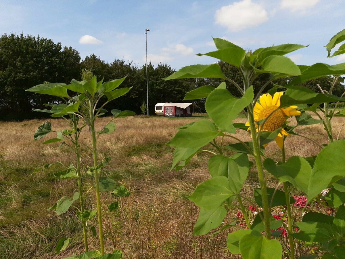 Landgoed de Camping & Dorps/Campingwinkel — photo 3