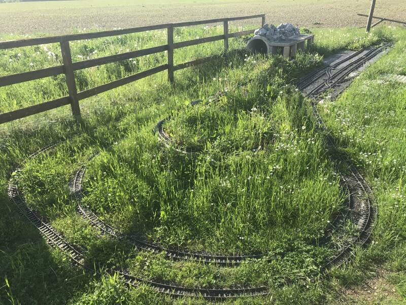 Verwucherte Gartenbahn