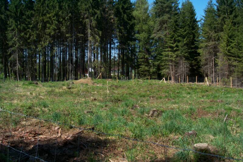 Alte Strecke - Erinnerungsstätte Eisenbahnfreunde Vaterstetten