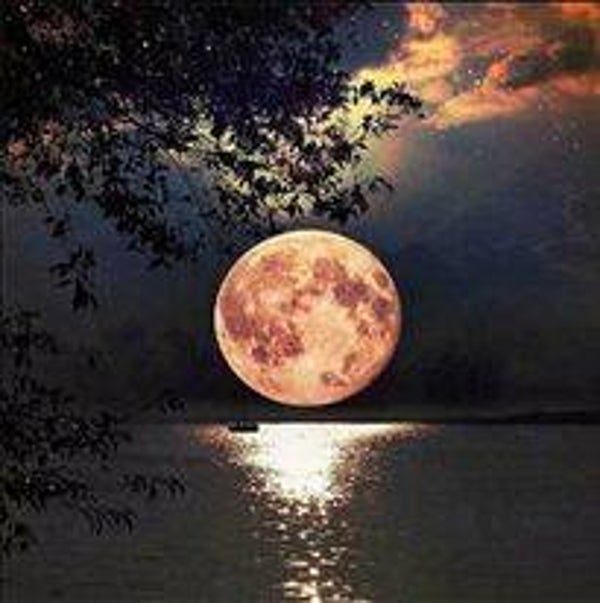 Diamond painting maan boven meer 60x60 cm