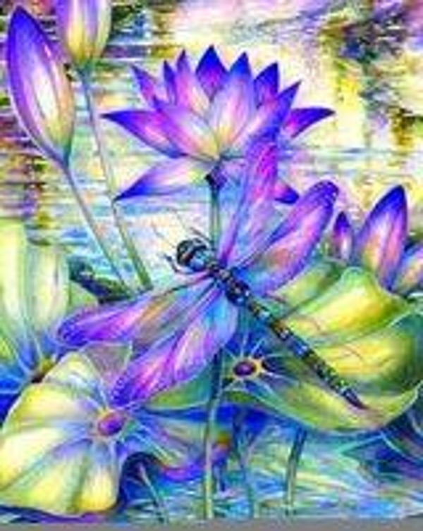 97. libelle op bloem – 50x40 cm – vierkante stenen