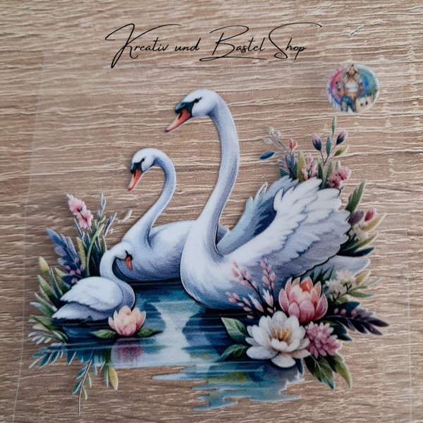 Schwan Motiv 1