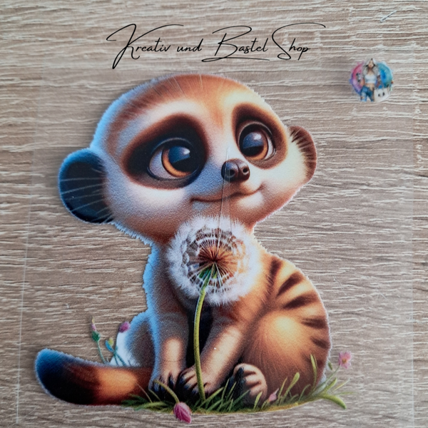 Erdmännchen Motiv 2