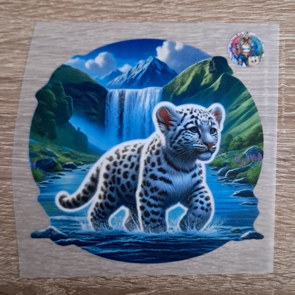 Leopard läuft durch einen Bach Hintergrund ist ein Wasserfall