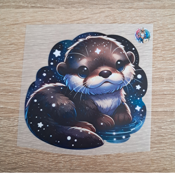 Otter sitzt unter dem Sternenhimmel.