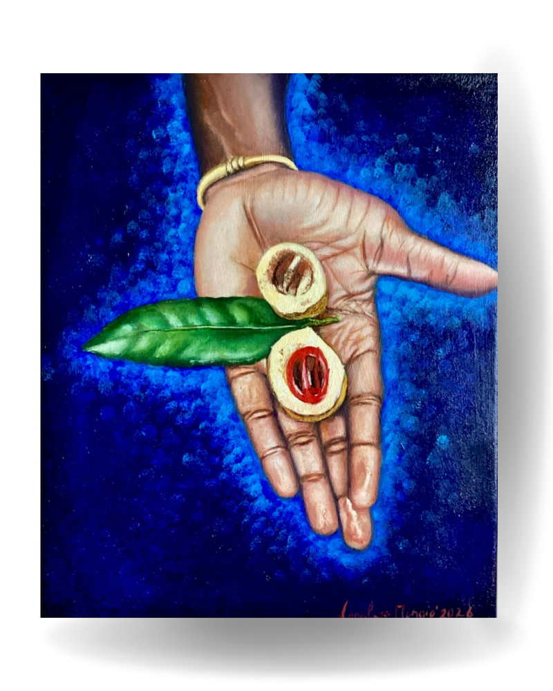 here is a nutmeg. A painting by Annalisa Mongio
