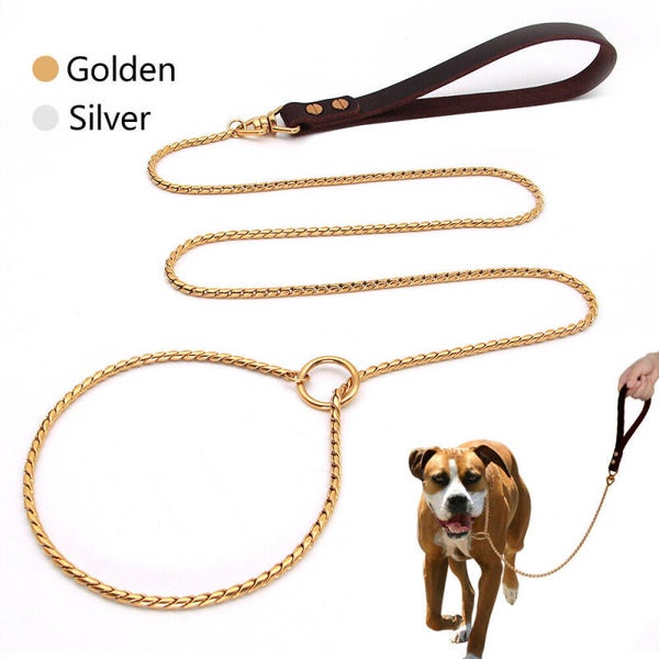 chain slip leash