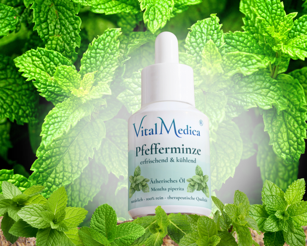 Pfefferminze