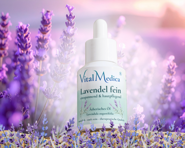 Lavendel fein