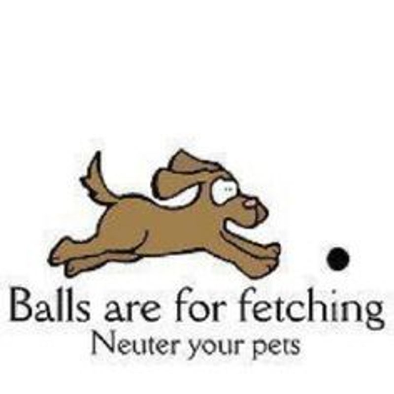 Ballareforfetchingneuteryourpets.jpg