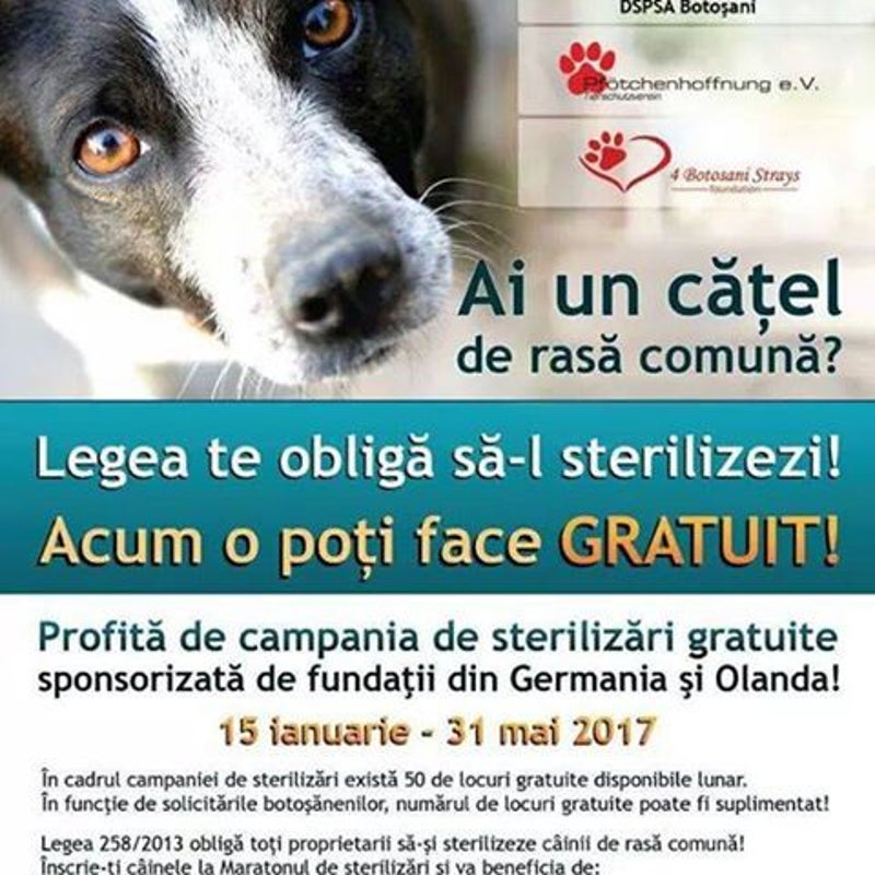 Flyercastratie.jpg