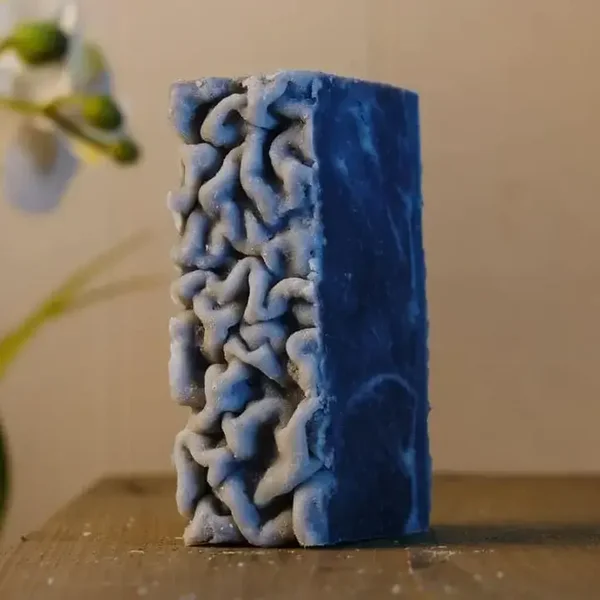 savon surgras charbon