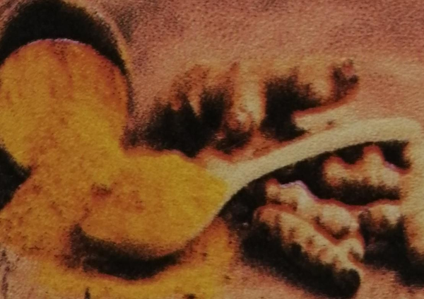 Curcumine 400mg 70 caps.