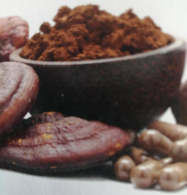 Reishi Gonoderma Lucidum  70 caps.