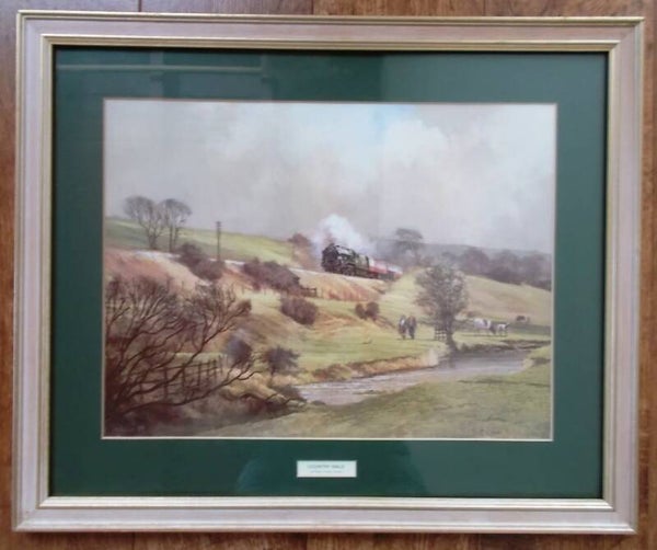 40567 Prachtig landschap van Peter Owen Jones.