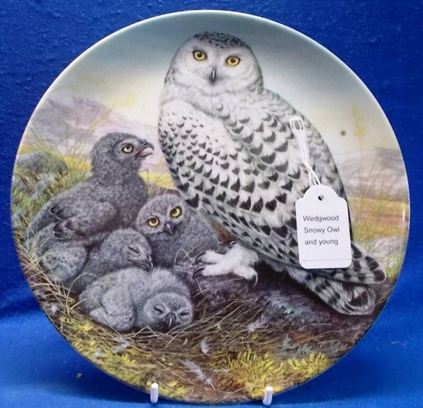 67842. Bord met 'Snowy Owl and Young