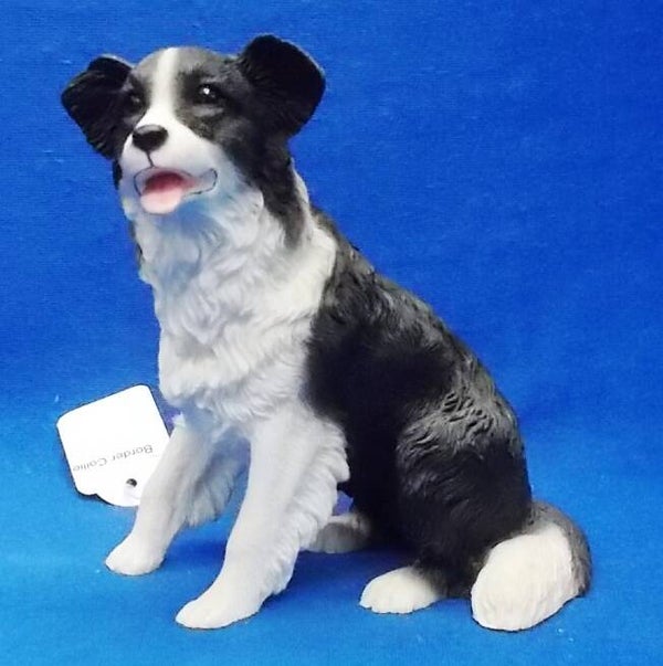 71807 Border Collie