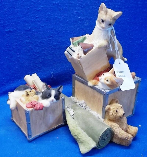 71969. Kijk de poezen spelen!