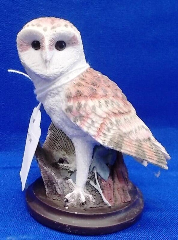 72045. Barn Owl
