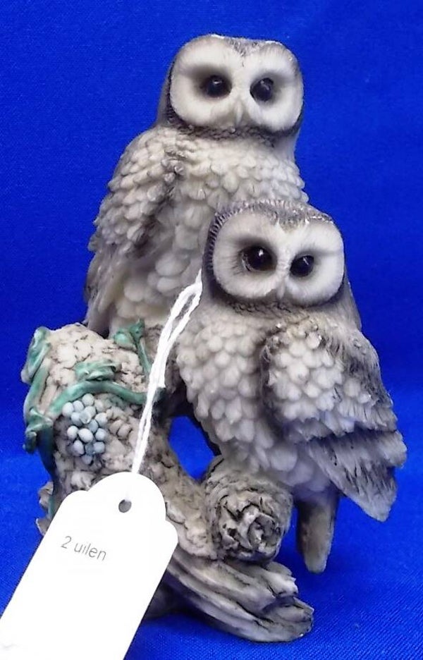 72046. Twee uilen