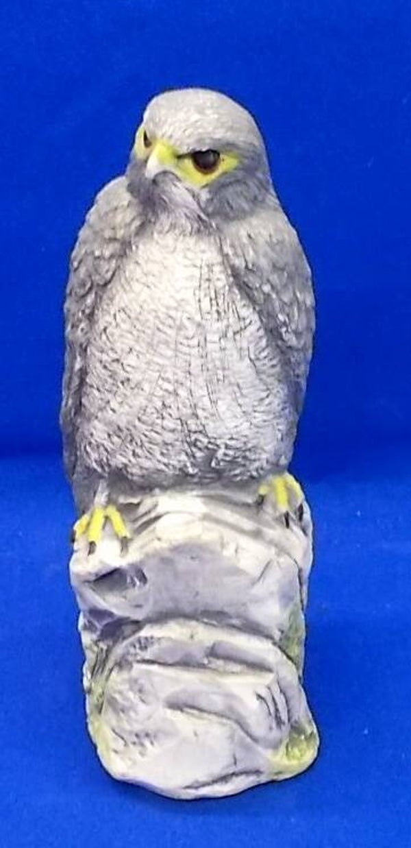 72271. Roofvogel