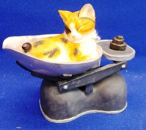 72312. Poes in weegschaal