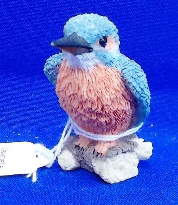 72314. IJsvogel