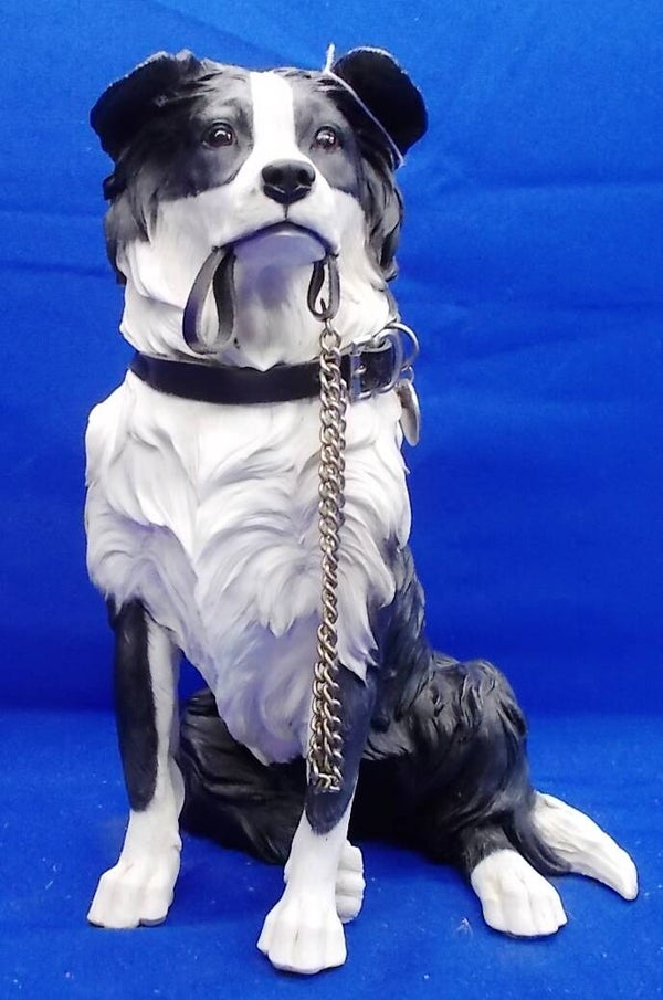 72344. Border Collie