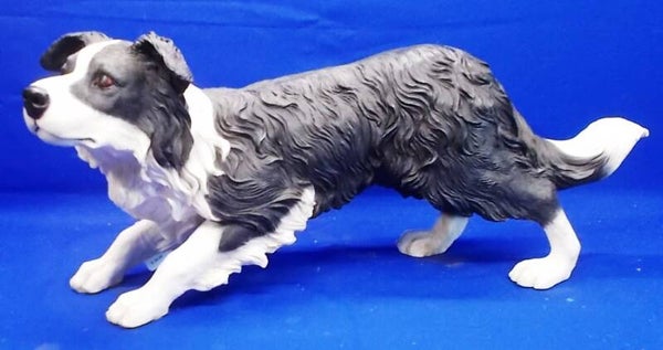 72346. Border Collie