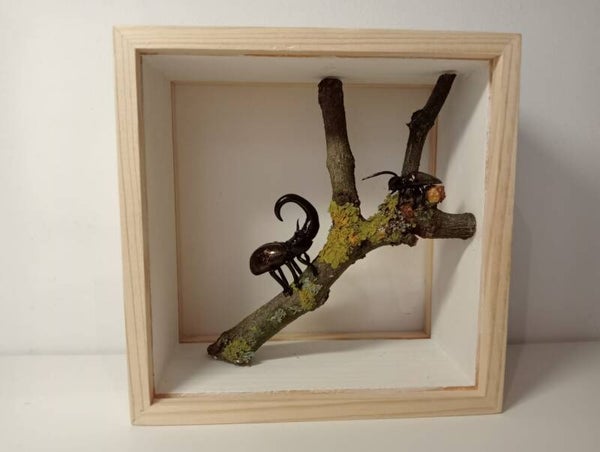 Houten kastje 3