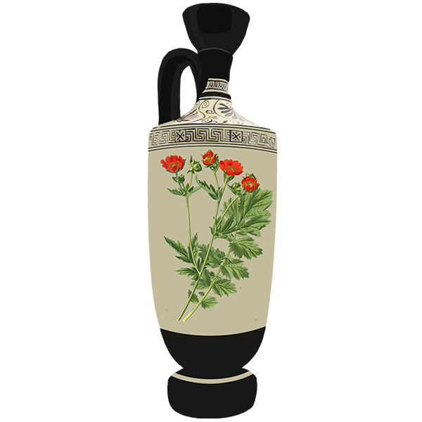 Favorite Flowers Vase III