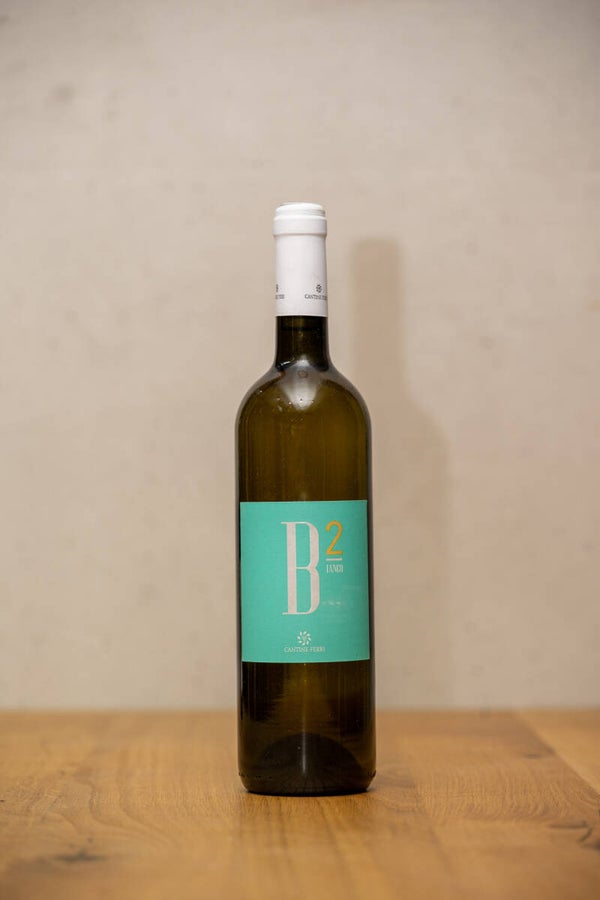 B2IANCO IGT WHITE (20)