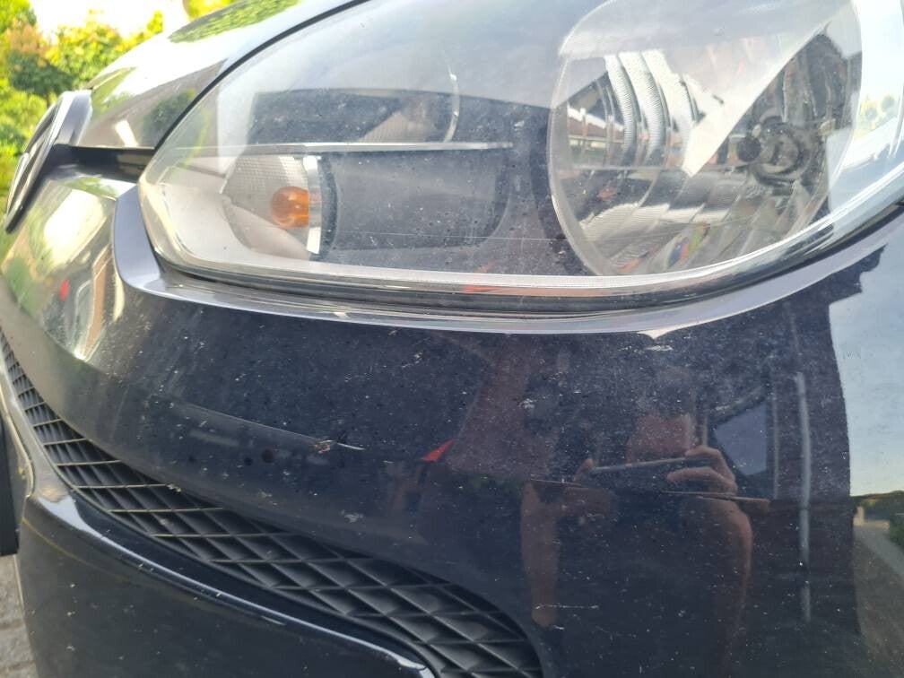 Waarom insecten verwijderen van je auto belangrijk is in de zomer