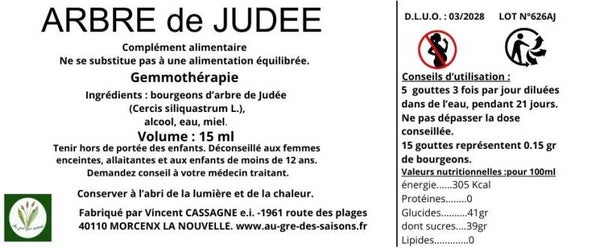 GEMMO ARBRE DE JUDEE