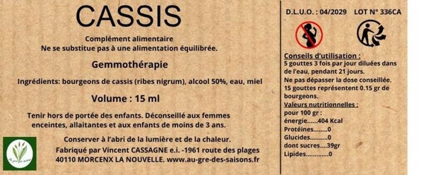 Gemmo Cassis
