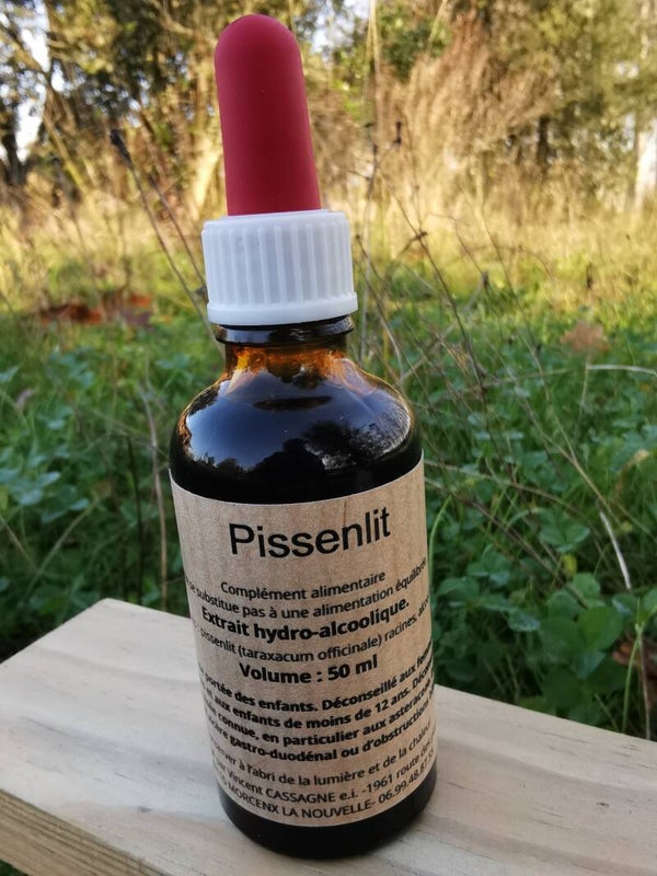 PISSENLIT RACINES