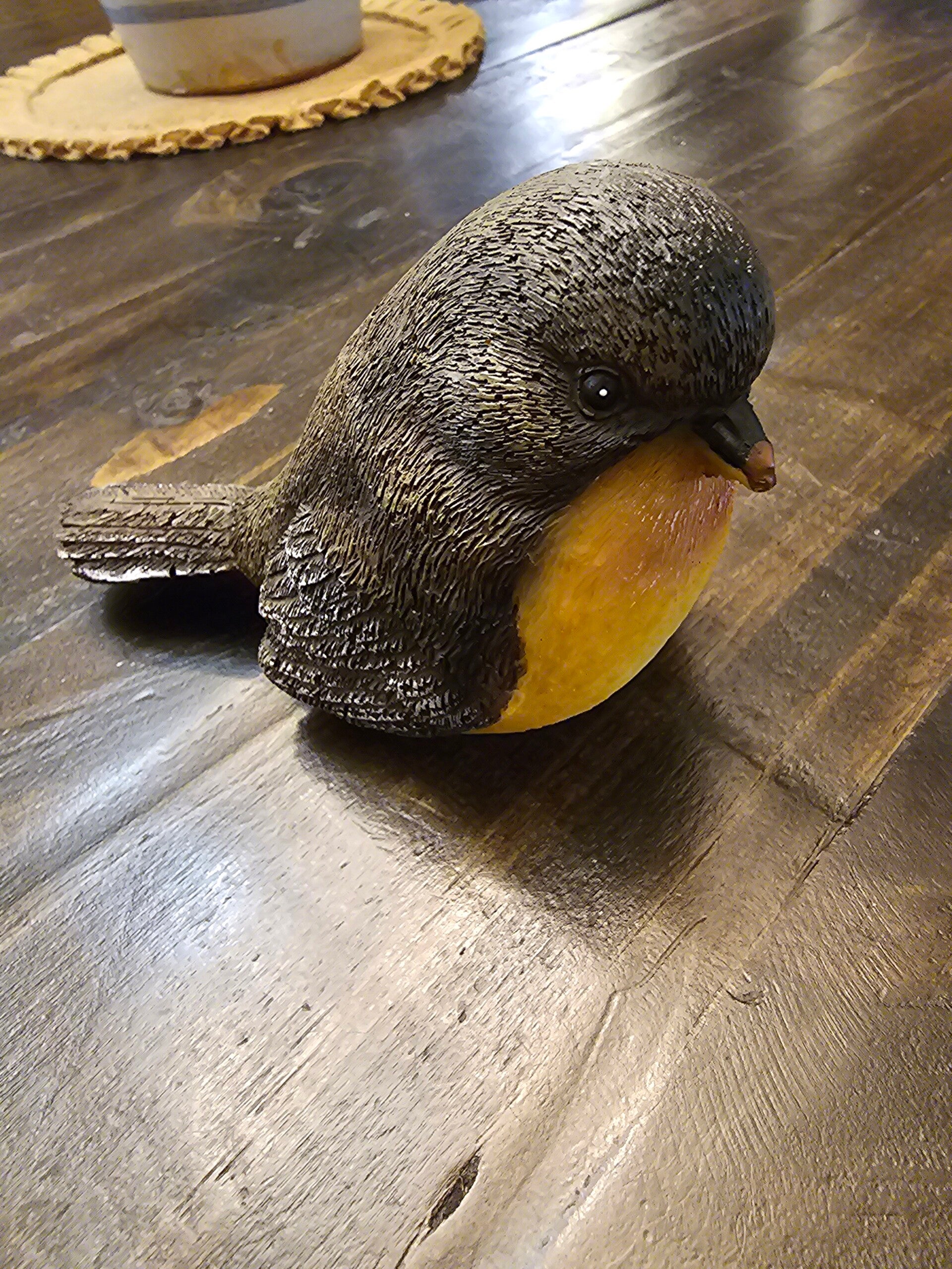 Bird