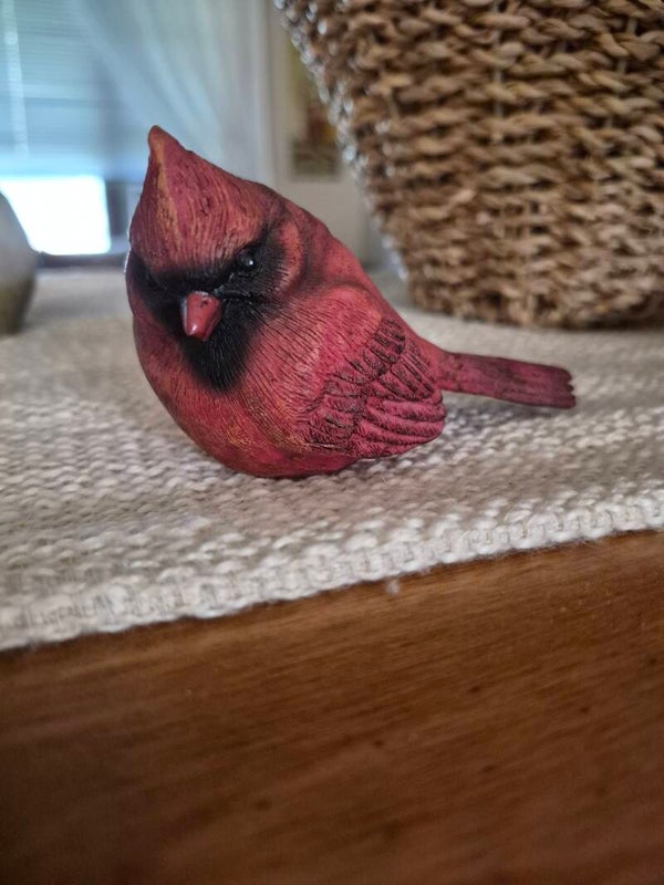 Cardinal