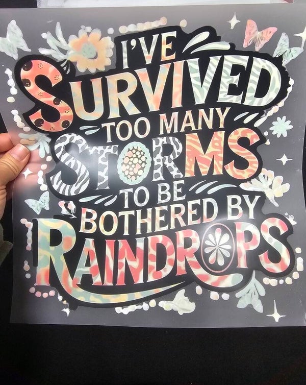 Survived storms transfer