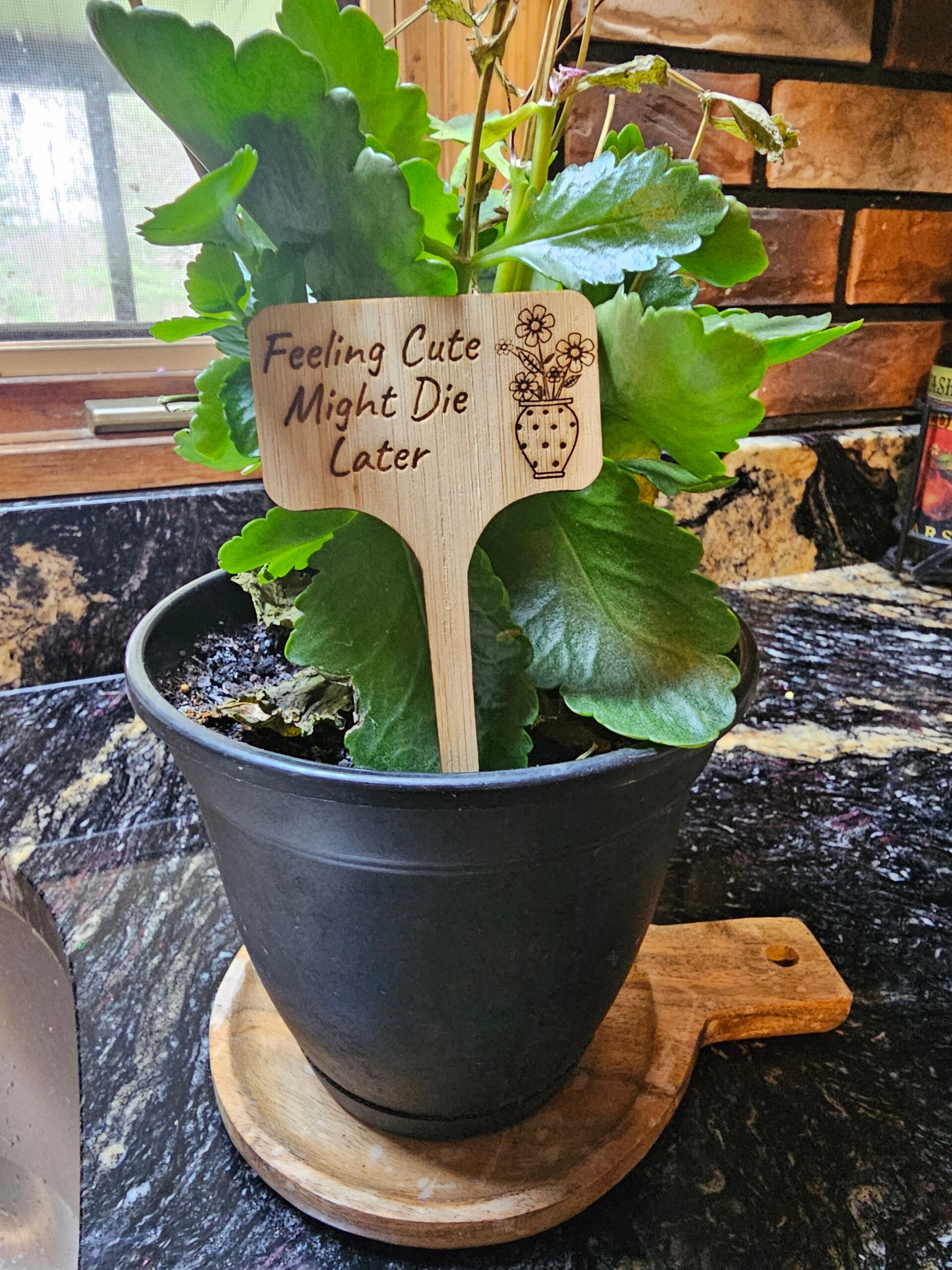 Plant signs