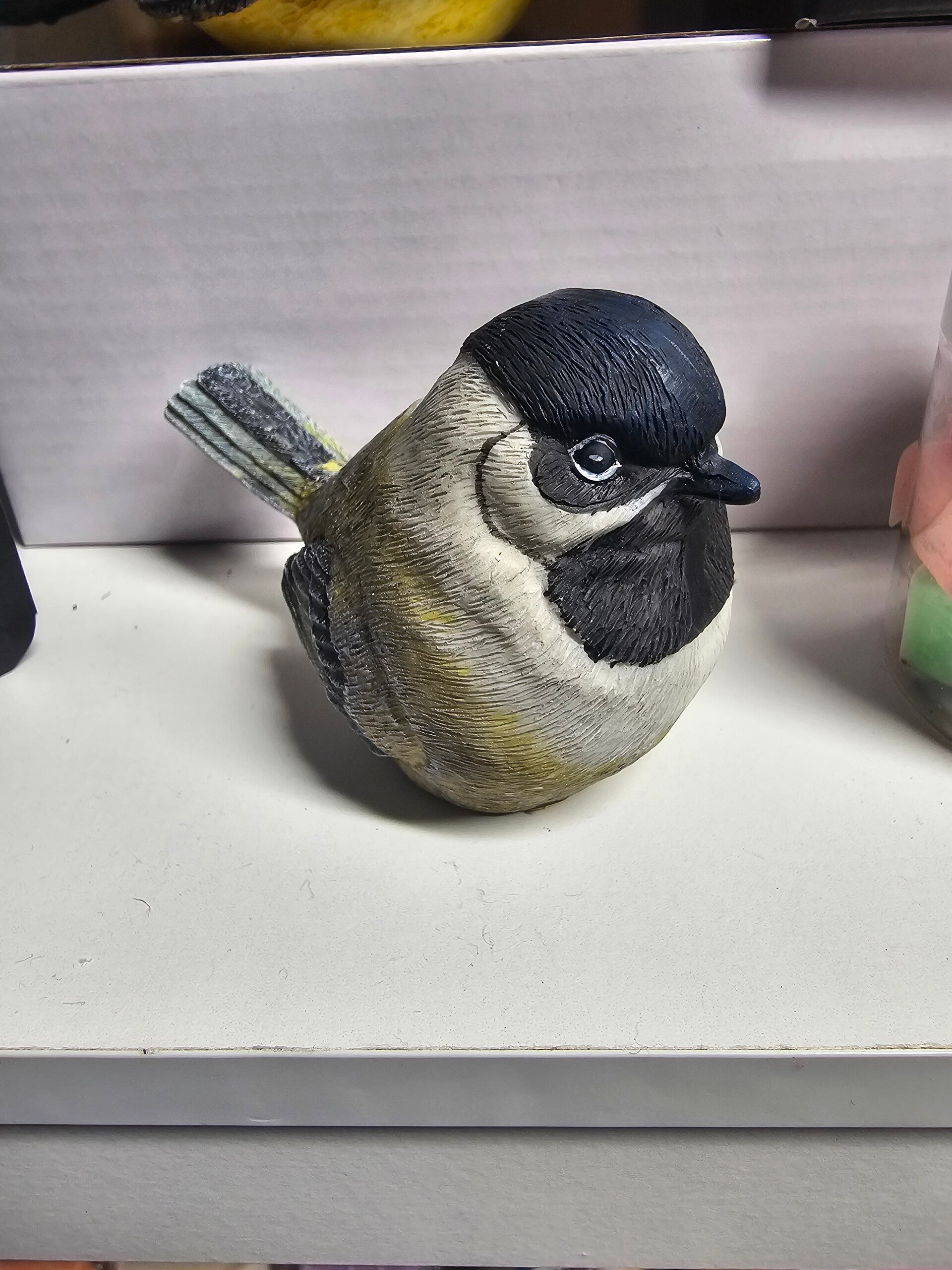 Chickadee bird