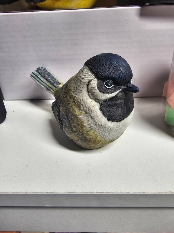 Chickadee bird