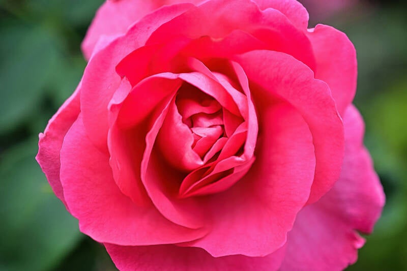 dsc_1517-standard.jpg