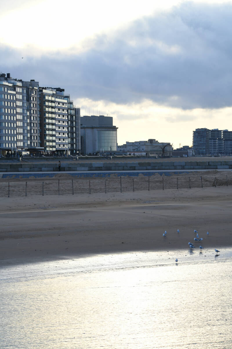 dsc_5663-standard.jpg